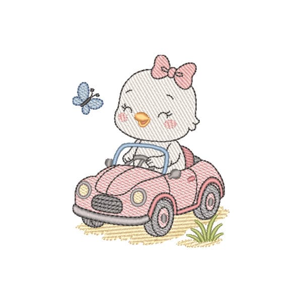 Pássaro Cute Passeio de Carro