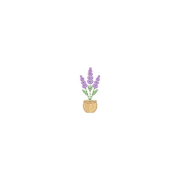 Mini Lavanda no Vaso