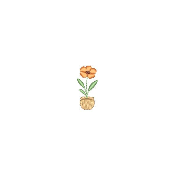 Mini Papoula no Vaso