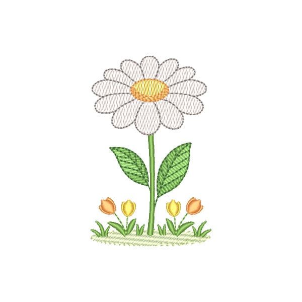 Flor Margarida Delicada