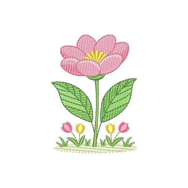 Flor Zinnia Delicada